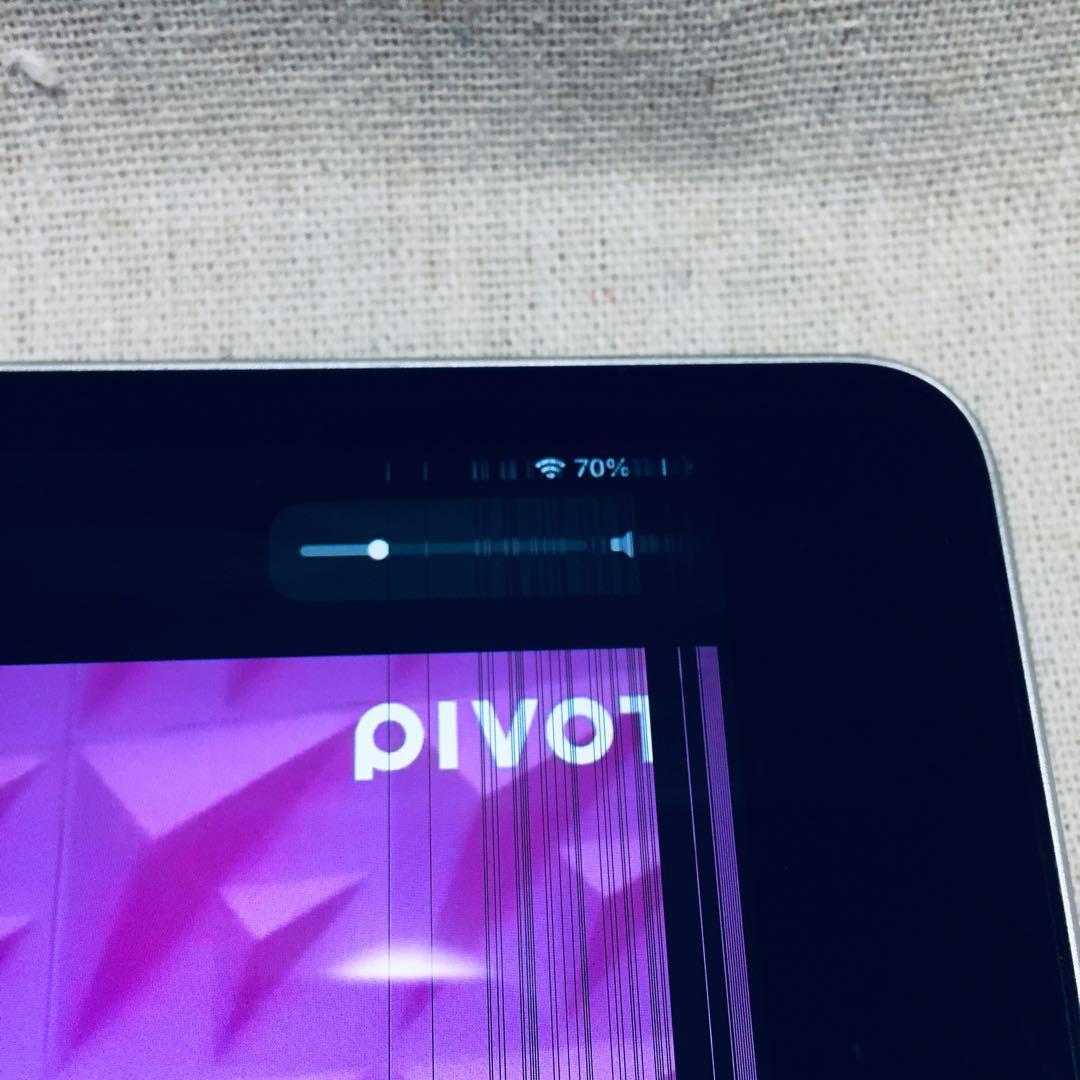 箱付き AC付属 美品 iPad mini4 128GB A1538 Wi-Fi