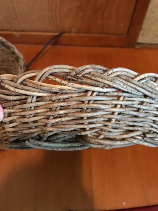 バスケット❀✿作家