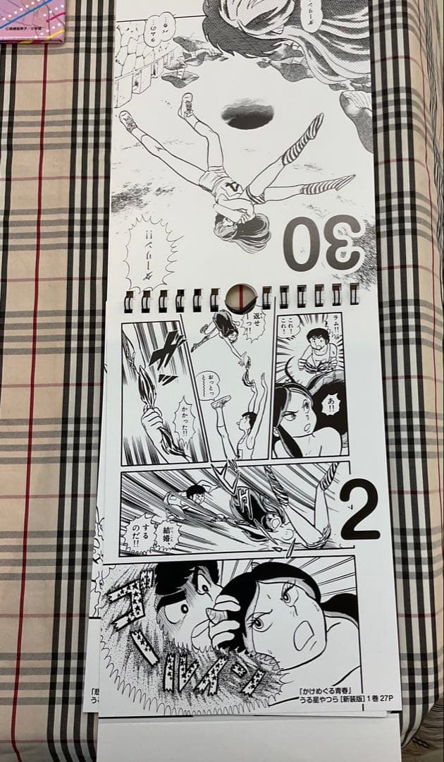 うる星やつら　40周年記念セット　　高橋留美子　　コレクション　　1703