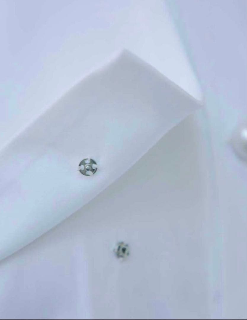 セツコサジテール　setsuko sagittaire マルグリットホワイト