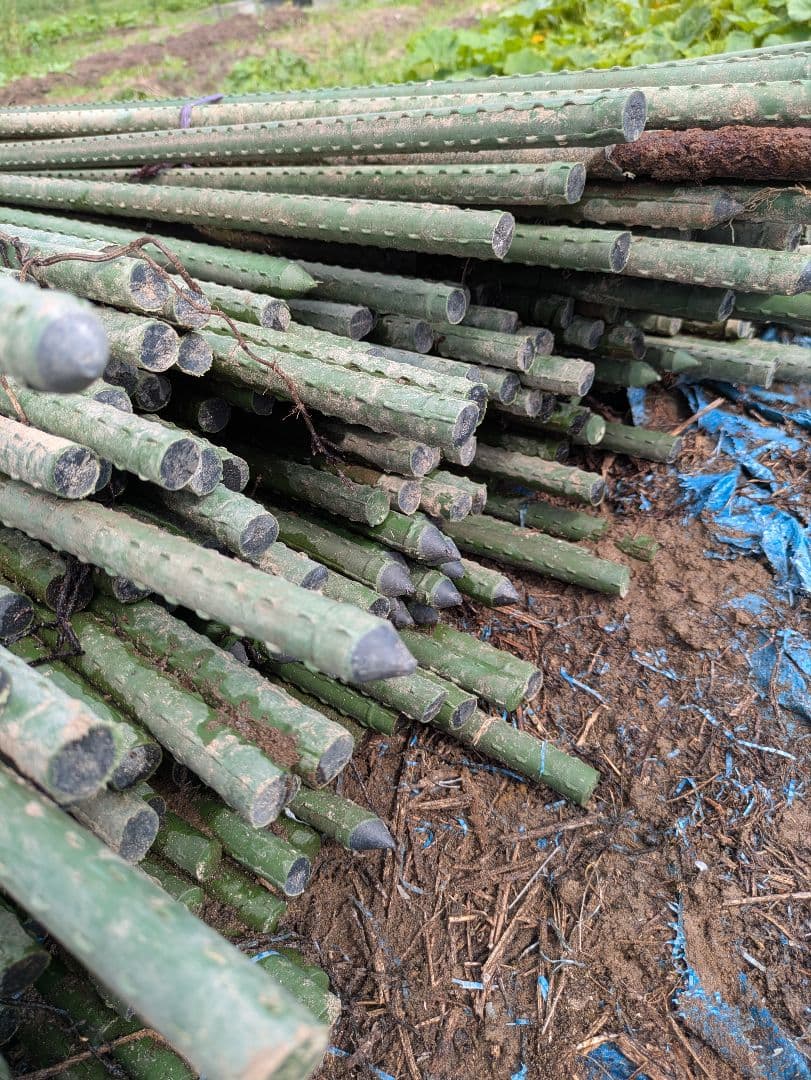 竹支柱 約2.1mイボ竹支柱200本