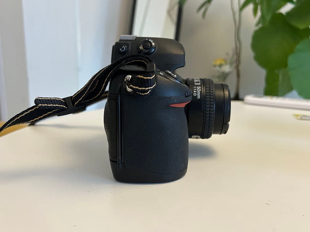 Nikon F6 腰痛持ちの店長