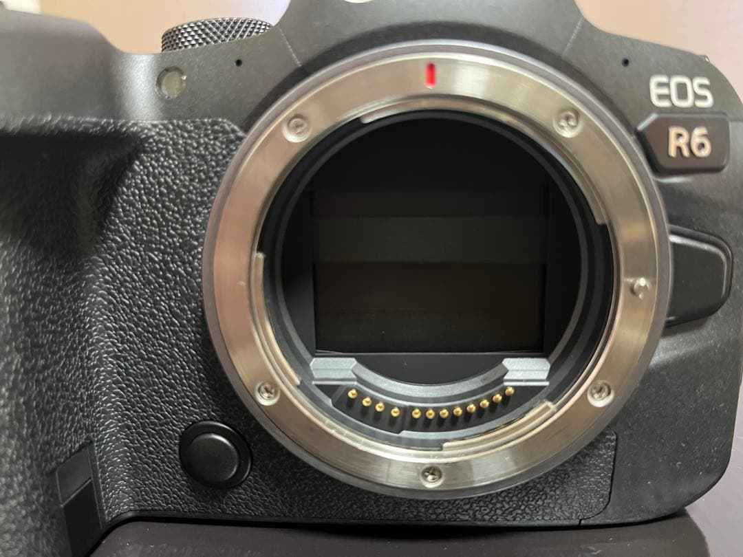 Arfa-21 Canon EOS R6 ミラーレス一眼カメラ 『美品』