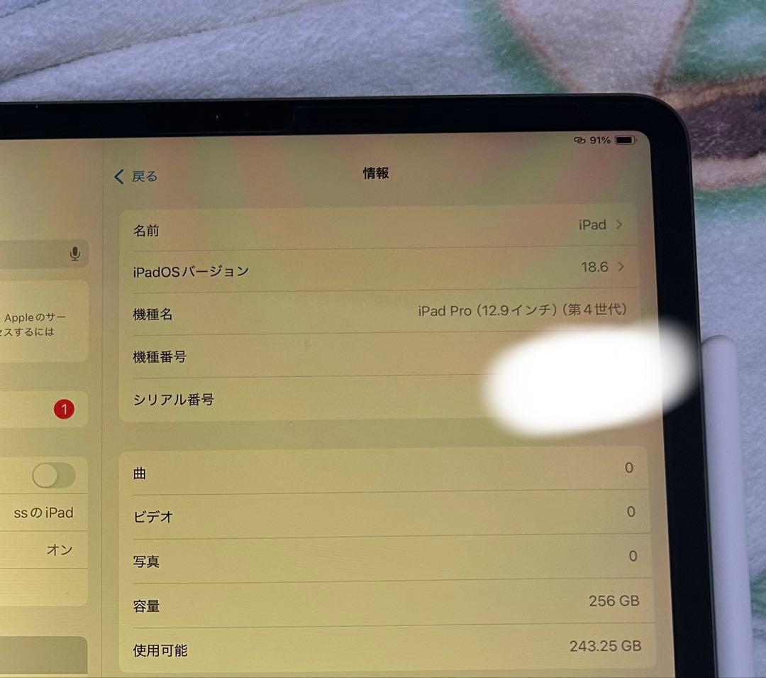 Apple iPad Pro(第4世代)12.9インチ 256GB