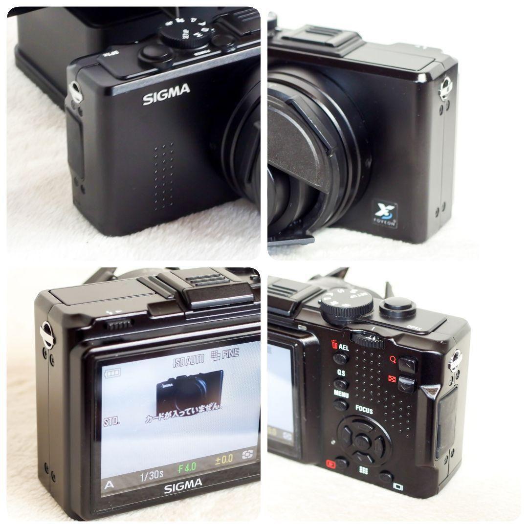 完動品 美品 希少 SIGMA シグマ DP1X DP2 充電器1個付