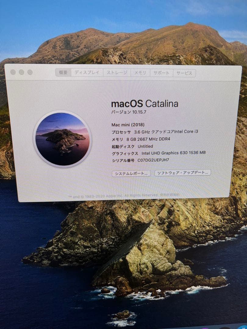 Apple Mac mini A1993高速SSD256GB / 電源ケーブル付