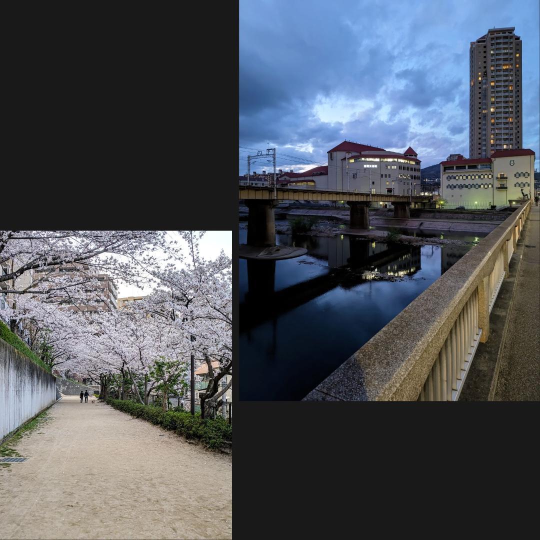 らま Motorola S50 12+256 軽量コンパクト 4眼カメラ