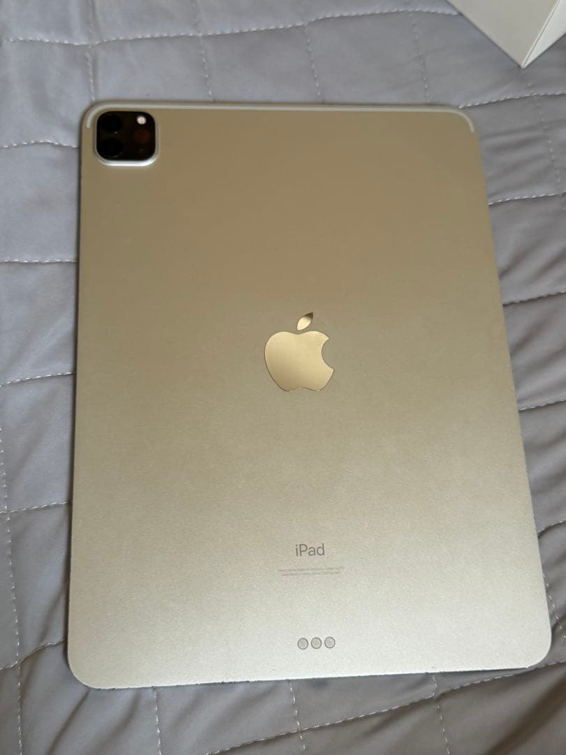 Apple iPad Pro 3世代　256GB