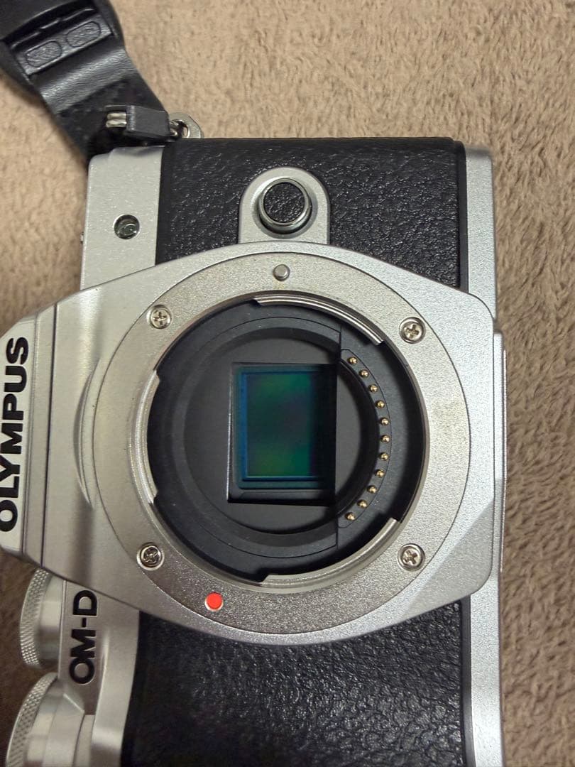 OLYMPUS OM-D E-M10 Mark III 撮影ガイド付き