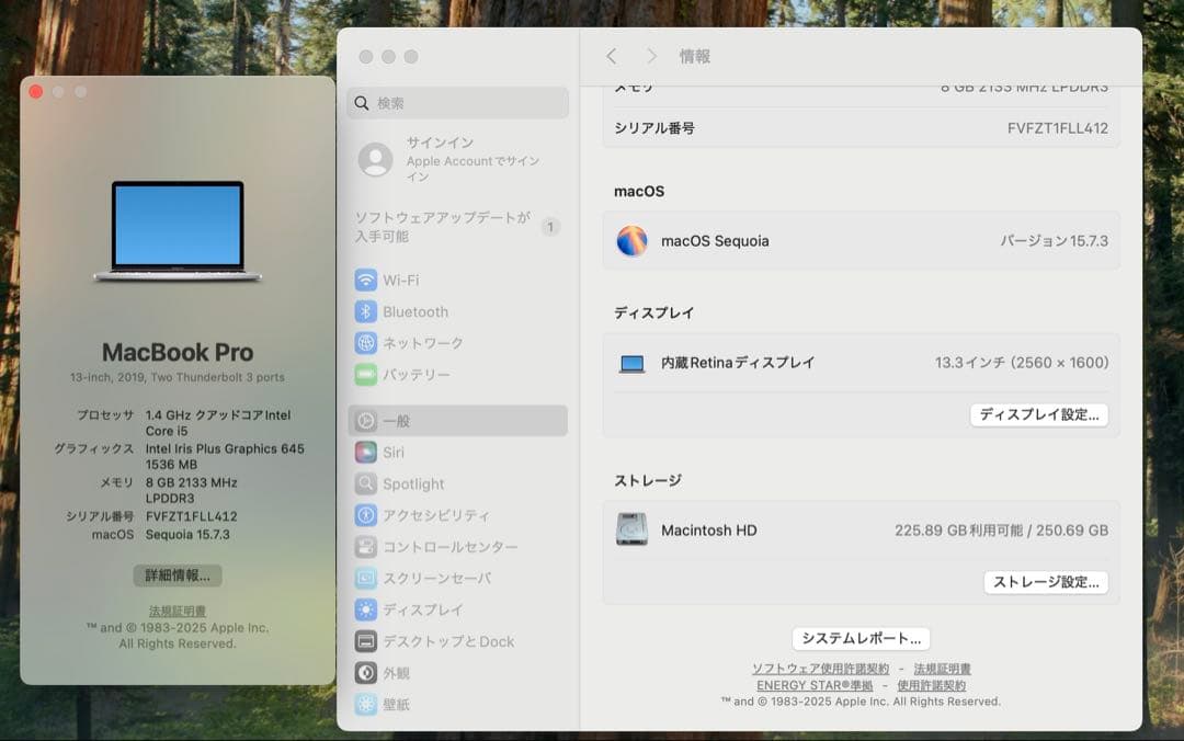 MacBook本体 Apple MacBook Pro 13 2019 i5/8GB/250GB