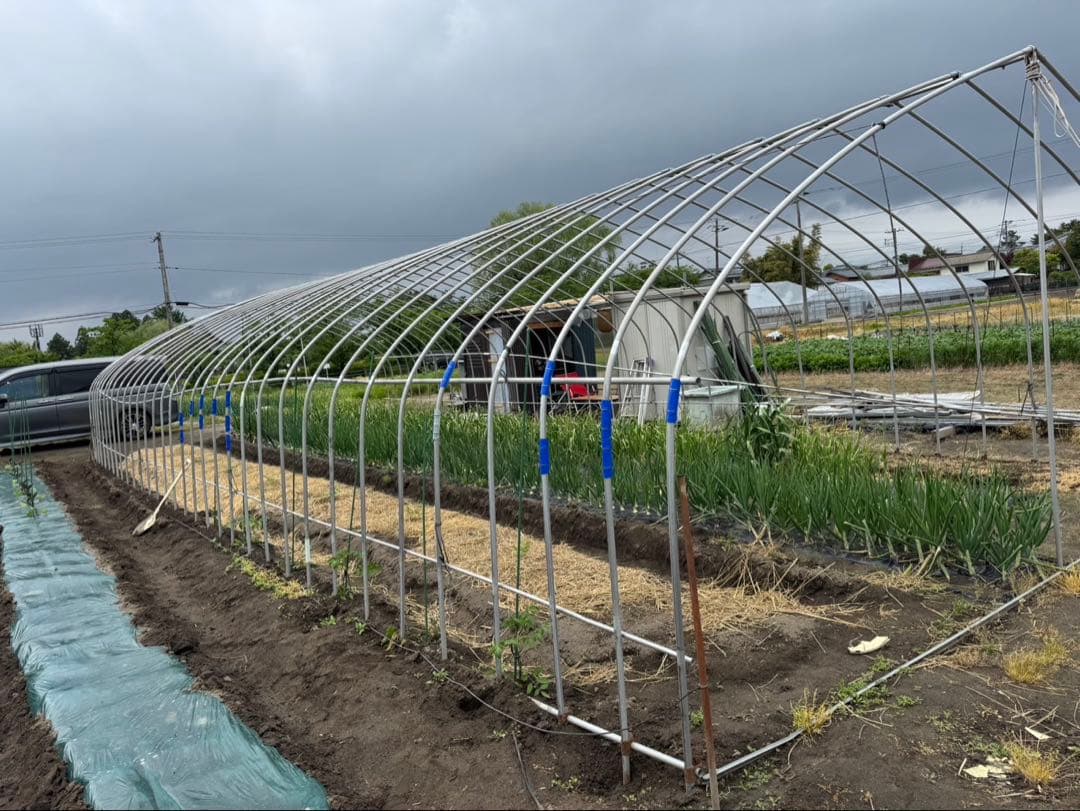 ビニールハウス