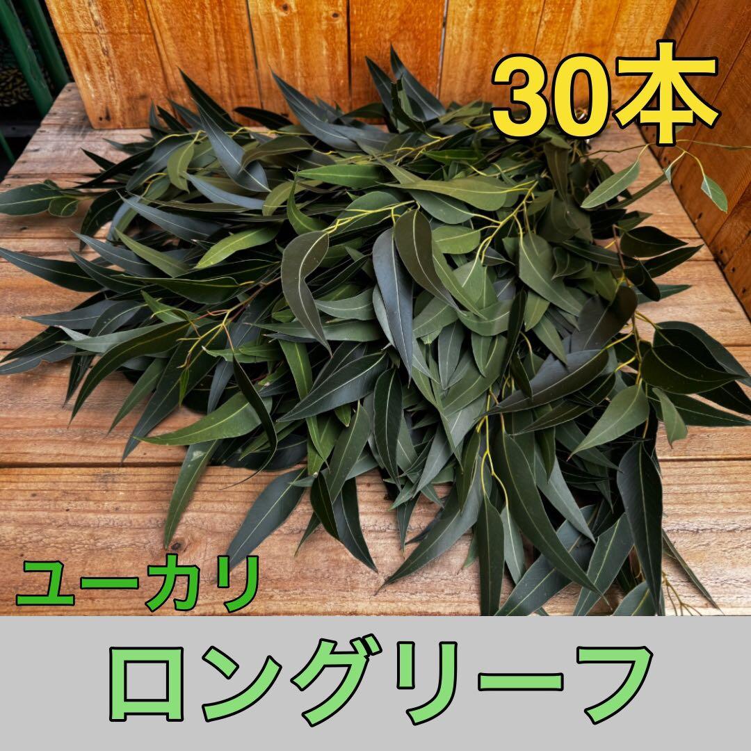 hana YOHAKU様 リクエスト 3点 まとめ商品