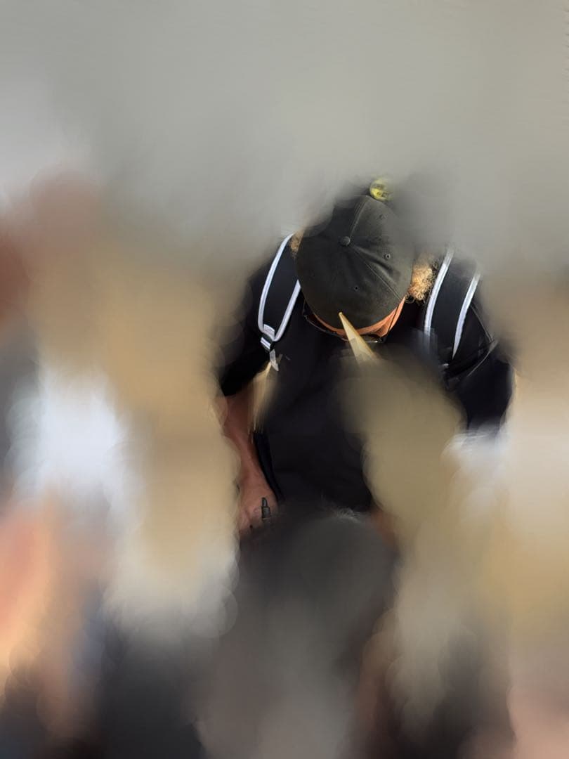 北海道日本ハムファイターズ 水谷瞬 直筆サインボール 名護キャンプ！ユニフォーム