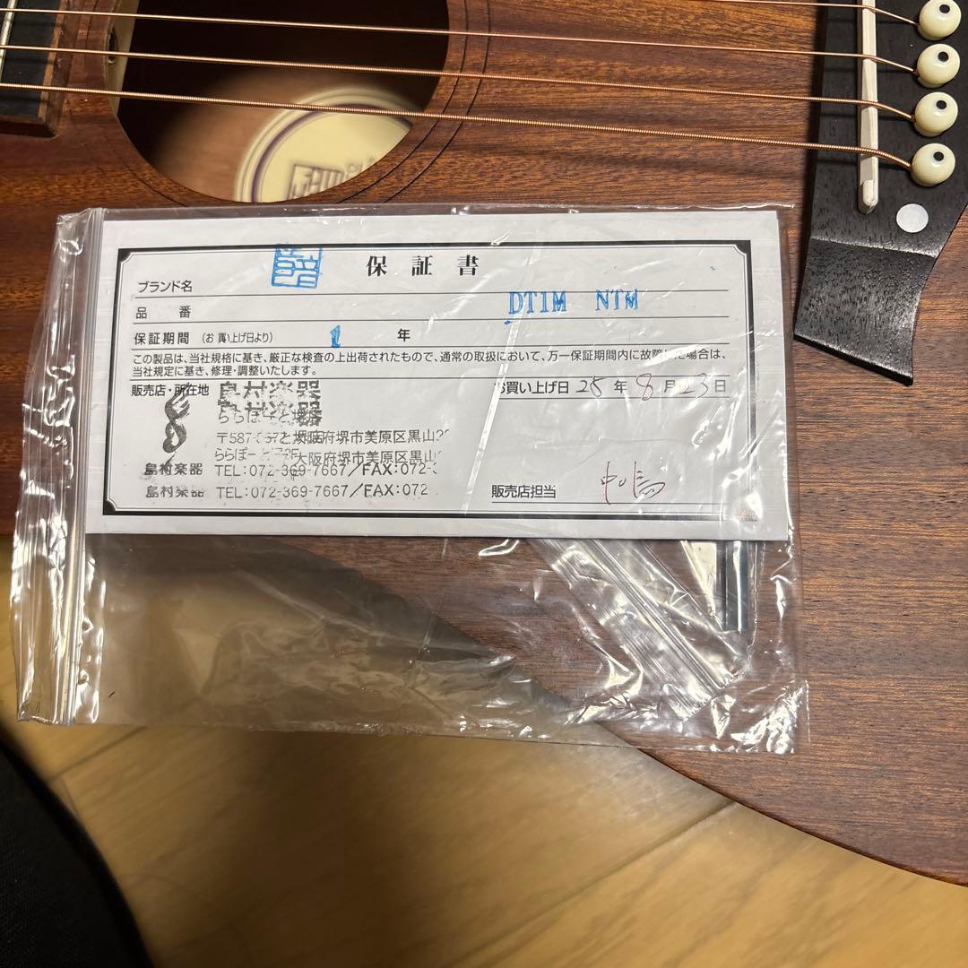 音音 DT1M NTM (マホガニー) ミニアコースティックギター ミニギター