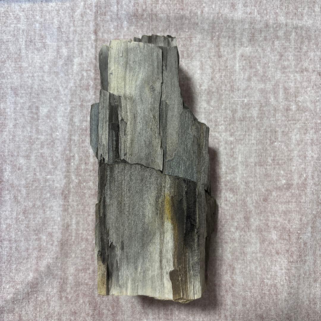 珪化木(鑑賞の水石）