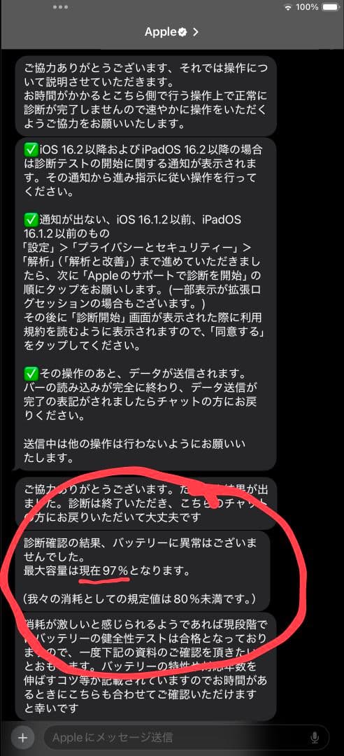 iPad 第9世代 256GB バッテリー97% 純正充電器付き ほぼ未使用