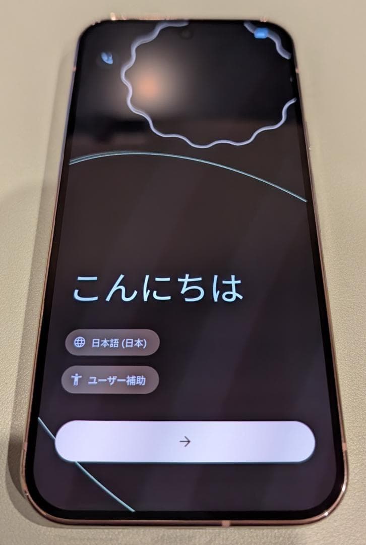 Google Pixel 9 Pro 512GB 色:porcelain