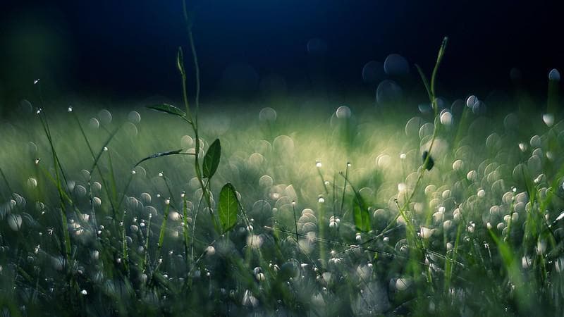 44 ペンタコン PENTACON 50mm F1.8　M42　アダプター付