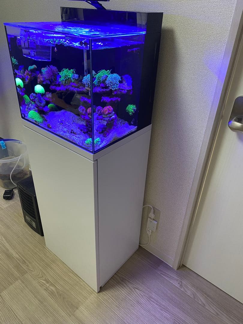 【引取限定】SHELL2 その他飼育セット