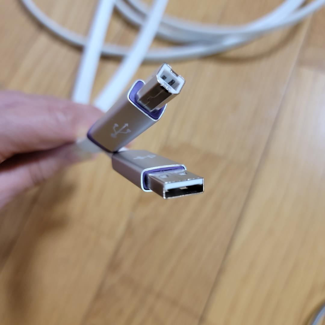 ケーブル・シールド OYAIDE Elec d+ USB class S rev.2 3.0m