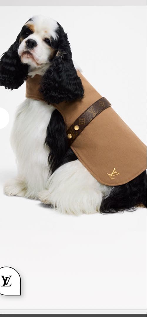 ルイヴィトン♡ドッグコートPM 試着のみ美品 正規品