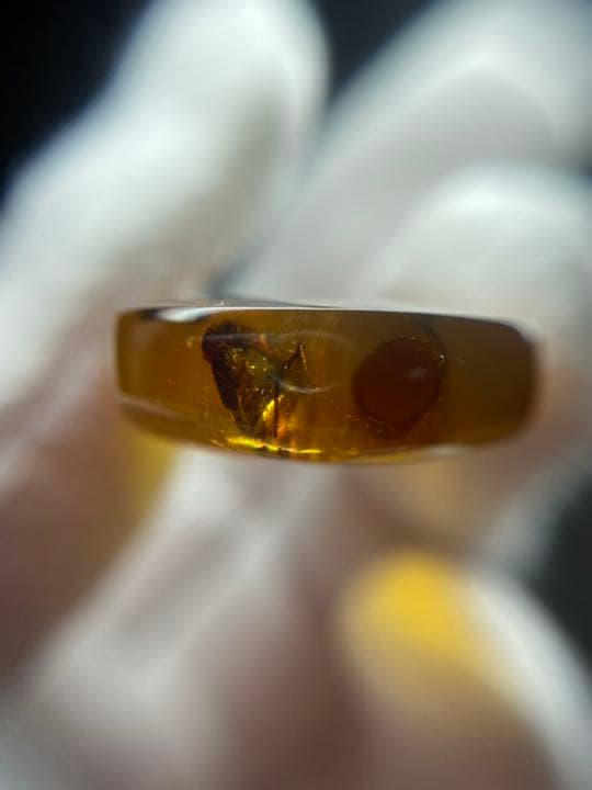 アンバー 琥珀  昆虫  コレクション 天然石 虫入り 価値上がる 宝石