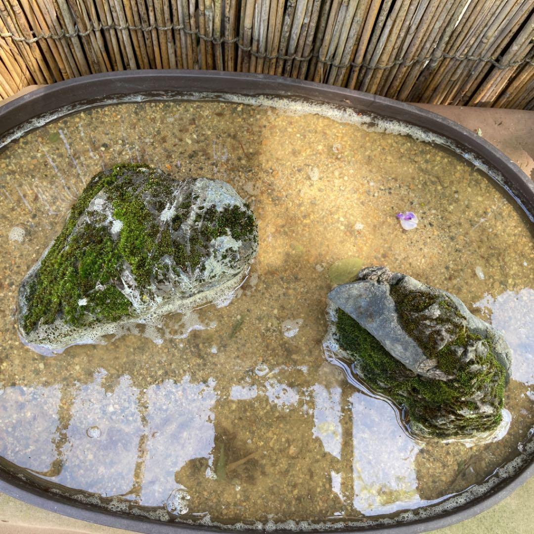 京都　貴船　糸掛石2点