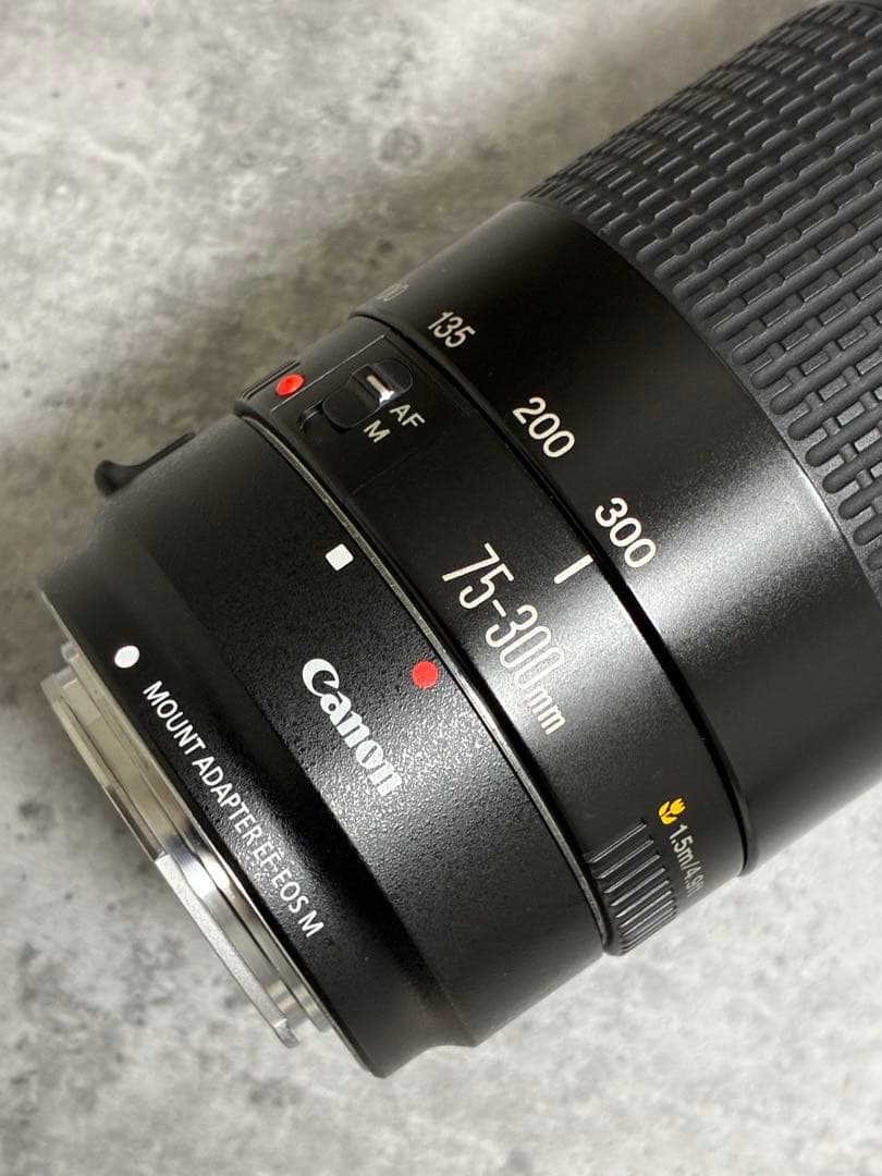 ⭐️美品⭐️Canon EF 75-300 II & EF-EOS M アダプター