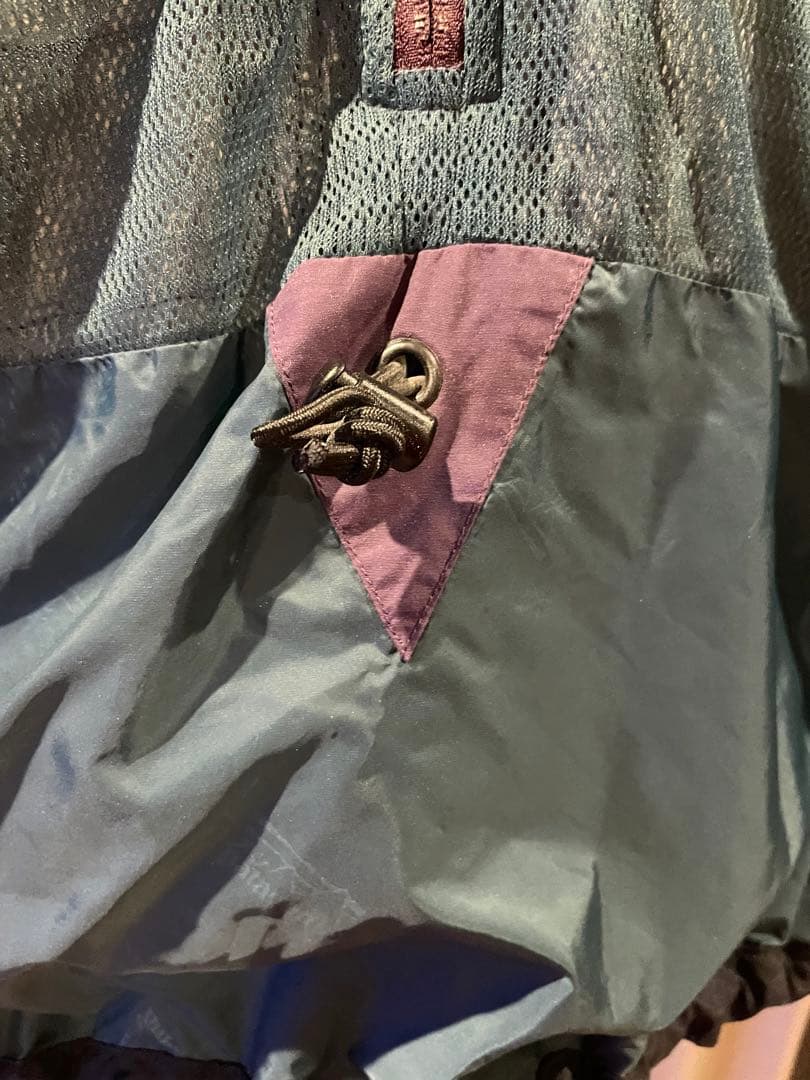 90’s ビンテージ　patagonia 雪無し　スカノラック