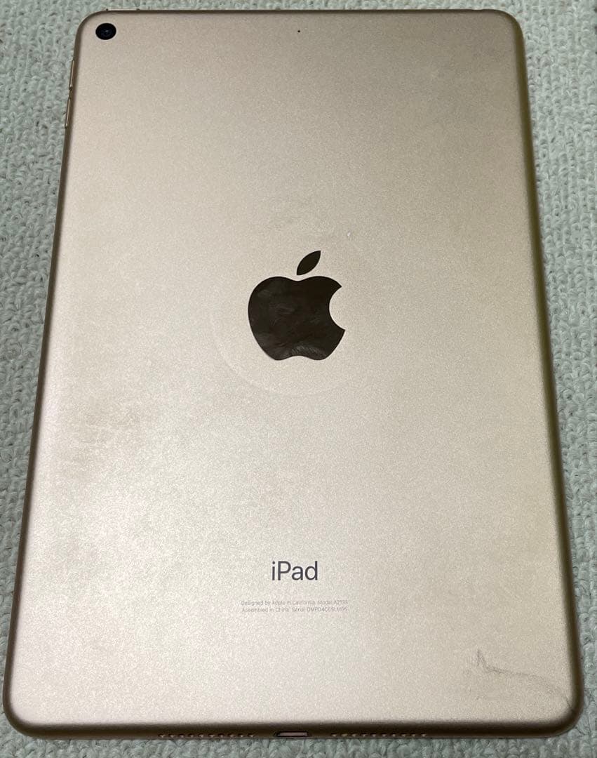 【こちらの価格は三連休まで】iPad mini 5 64GB 本体のみ