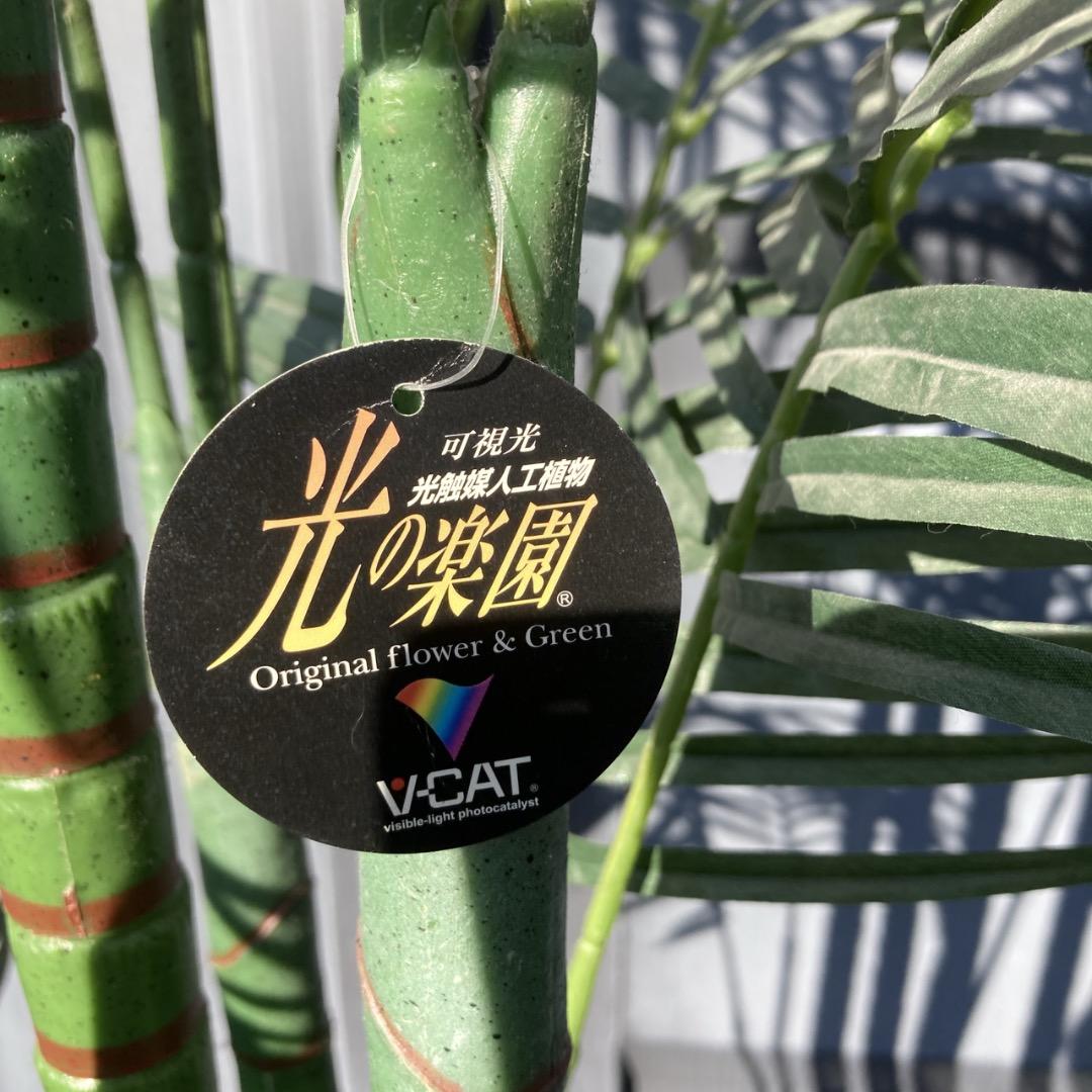 【お値下げOK】大型フェイクグリーン 光触媒人工植物 光の楽園 高さ約270cm