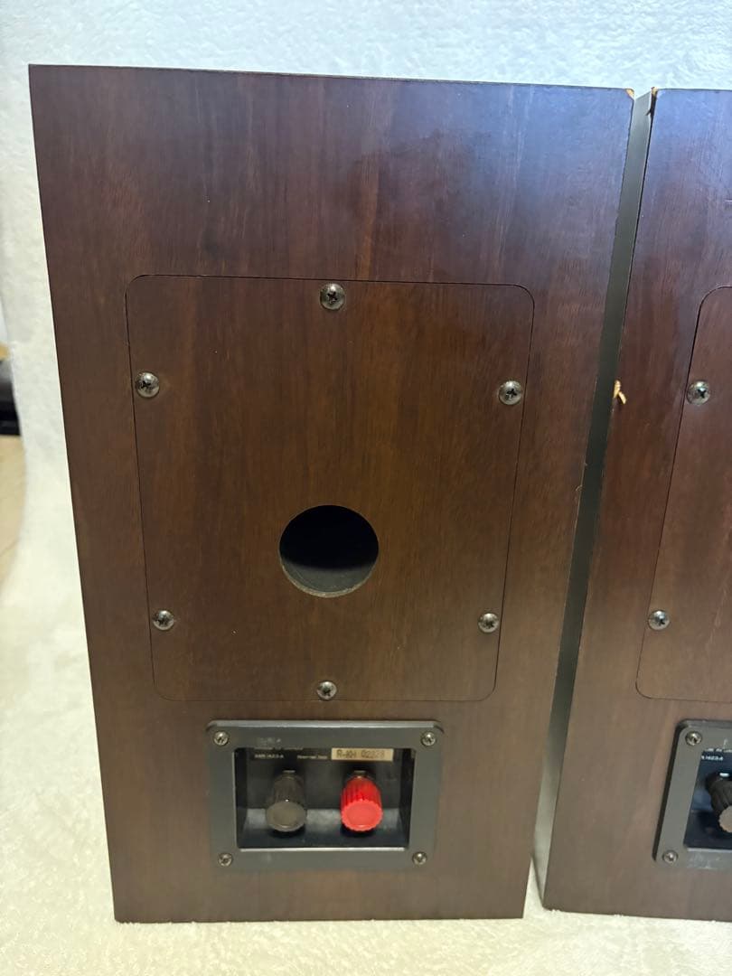 ⭐︎名器　PIONEER S-11TX