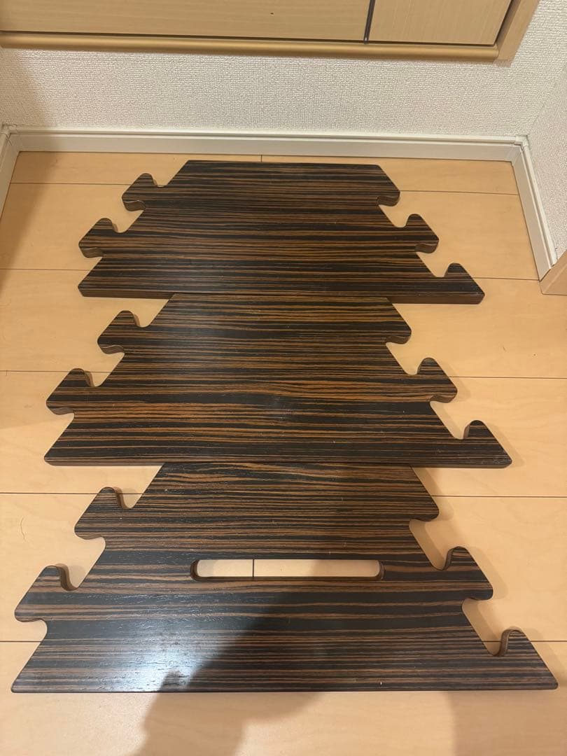 WARUしま次郎　the arth ケース付き