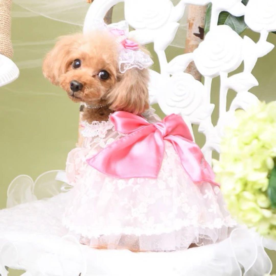 新品⭐︎Luxe birdieリュクスバーディブロドリーワンピース M ピンク