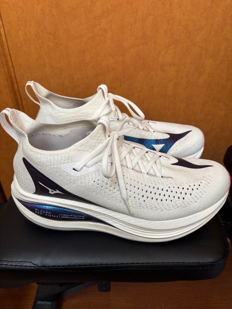 ミズノ　ネオビスタ2 27センチ