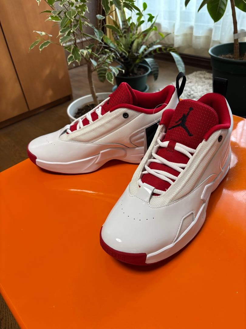 【新品・国内正規品】NIKE JORDAN MAX AURA 6