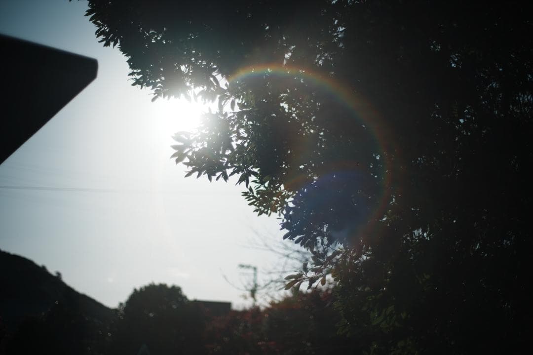 整＆テ済 Carl Zeiss Planar 50mm F1.4 AEJ 027