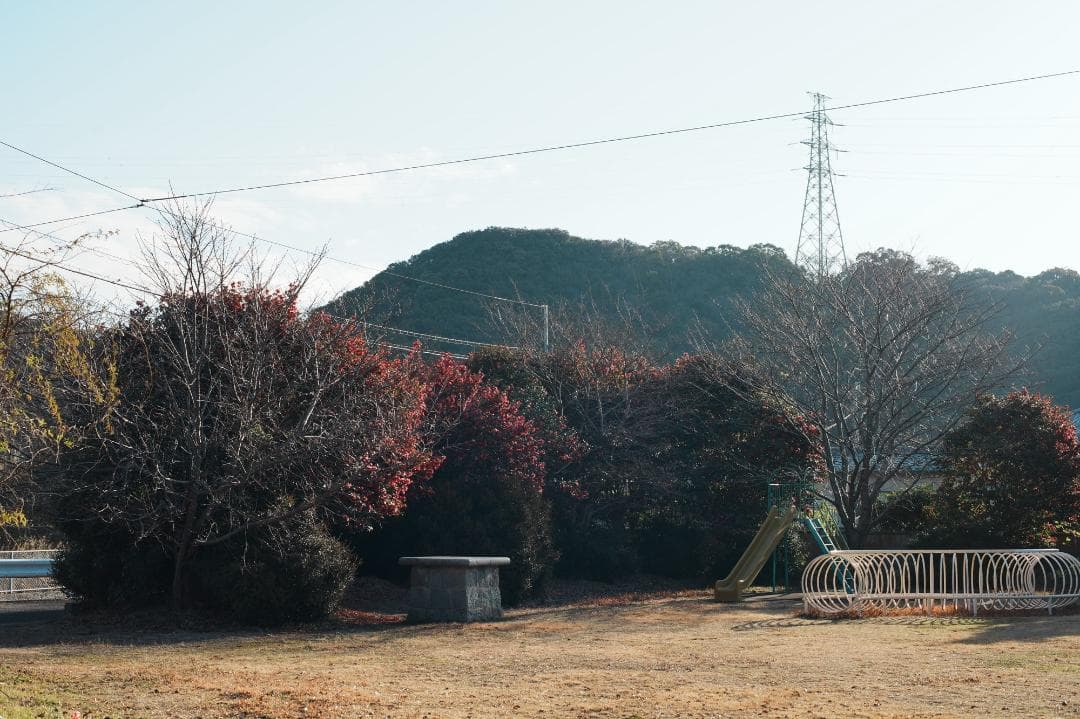 整＆テ済 Carl Zeiss Planar 50mm F1.4 AEJ 027