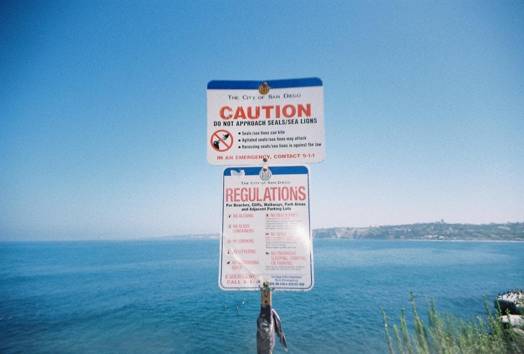 【動作確認済・美品】KONICA BIG mini フィルムカメラ セット