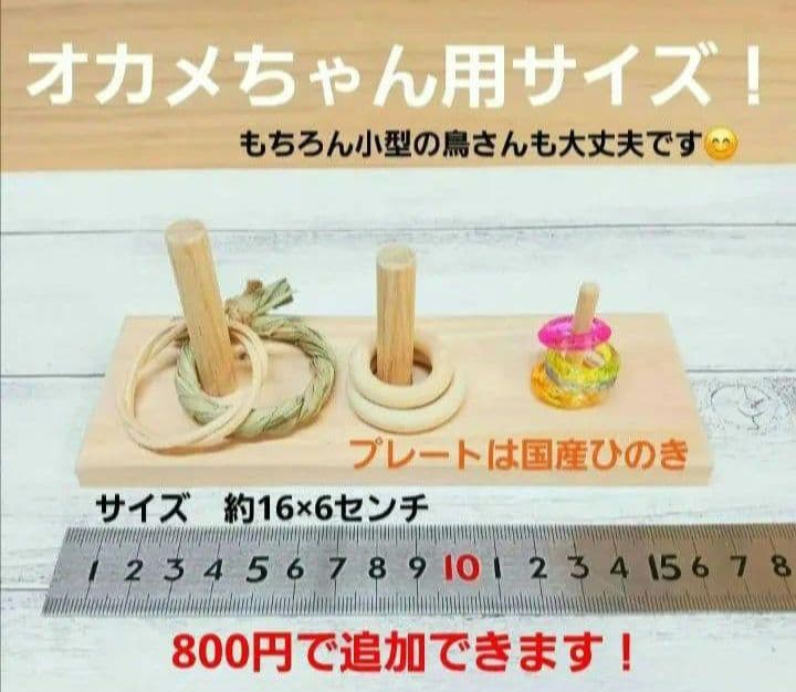 u71　⭐　フォージングトイセット⭐　輪投げ　バードトイ　文鳥　インコ