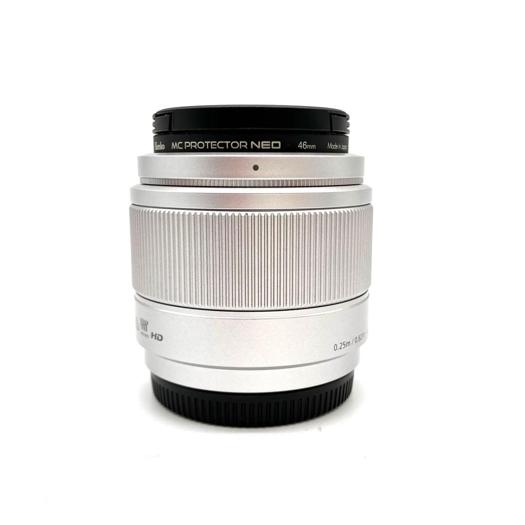 Panasonic LUMIX G 25mm F1.7 H-H025 単焦点