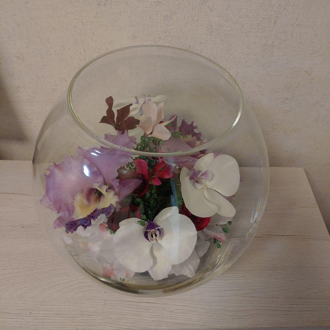 レンデフロール（C-V）