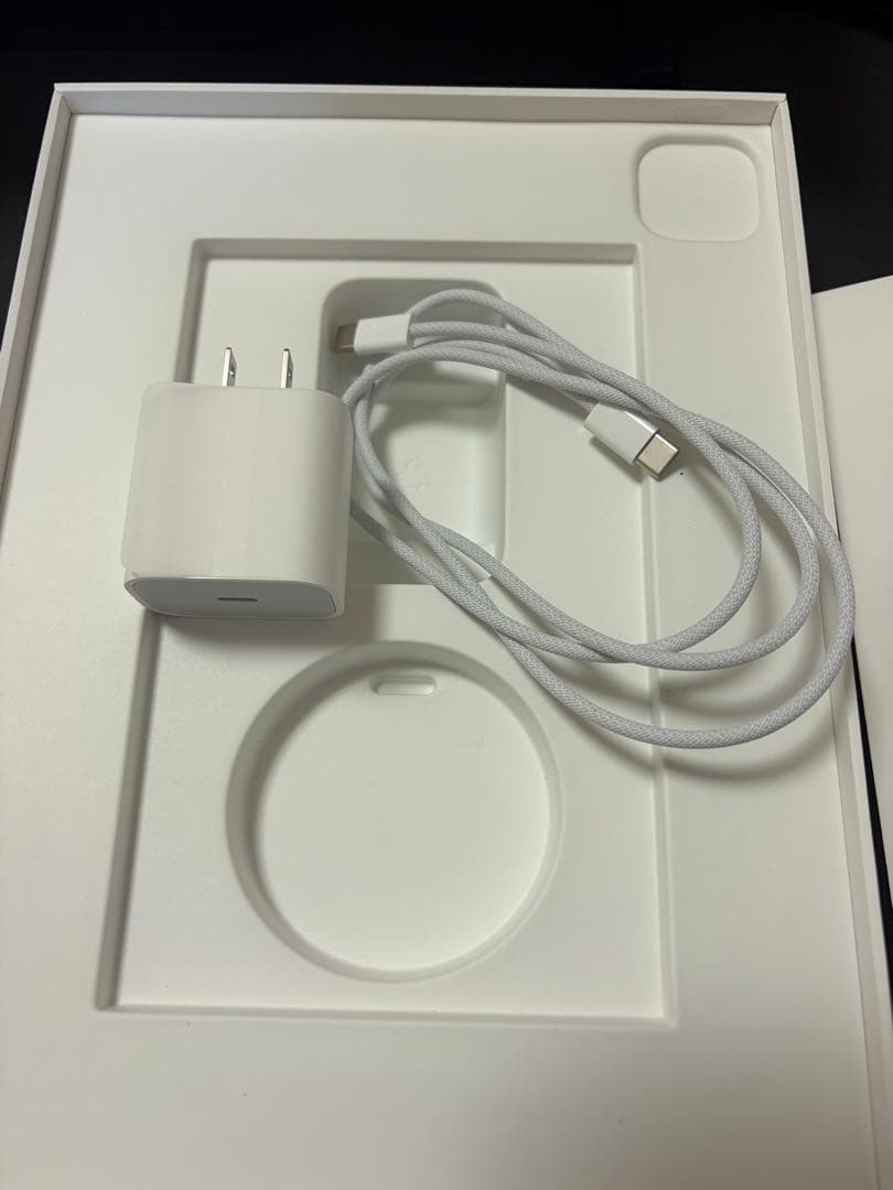 iPad Pro 11インチ　第四世代　M2 最大容量100%