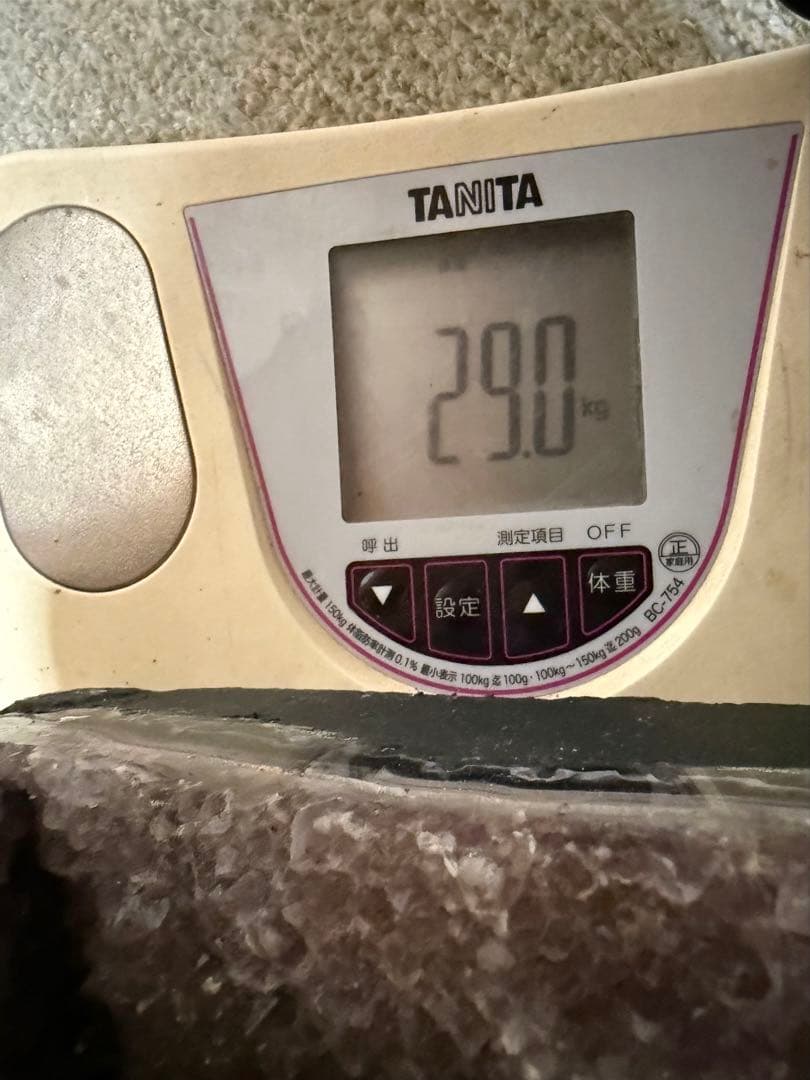 濃紫色アメジストドーム　H75cmW25cm29kg たのめる便発送！