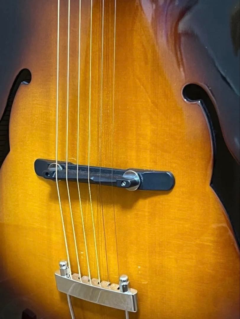 LOAR LH-700/ラッカーフィニッシュ/エボニー指板/オール単板/極美品