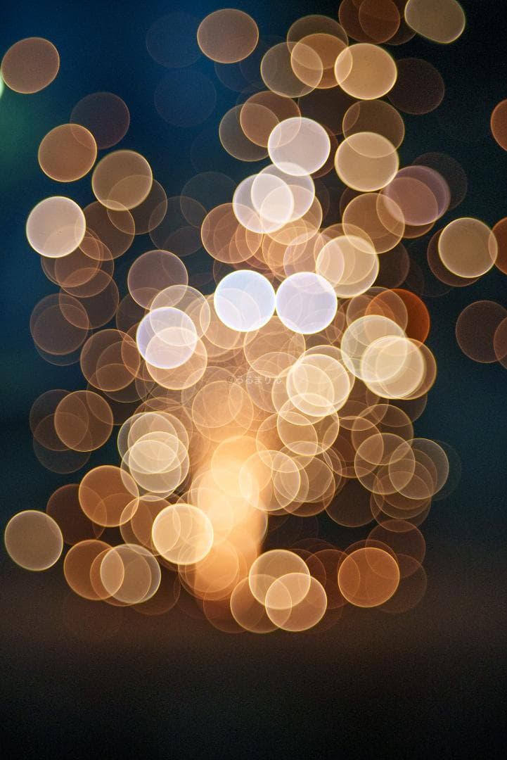 バブルボケ！Meyer TRIOPLAN 100mm F2.8 オールドレンズ