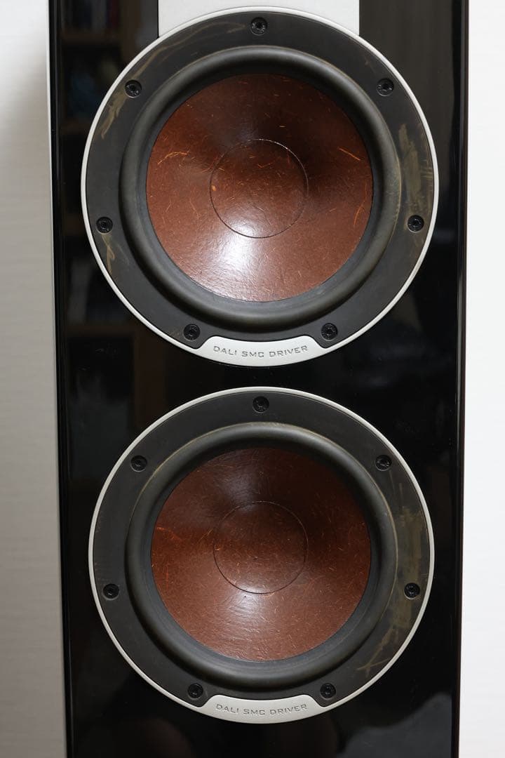 dali ダリ epicon6 ブラック