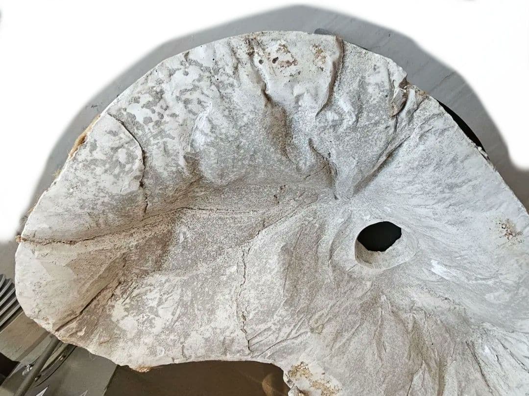 フランスの石膏型の蓋部分 アンティーク ヴィンテージ オブジェ シャビー