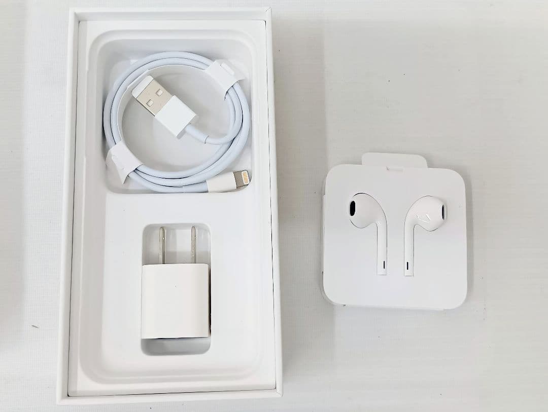 〘美品〙Apple iPhone SE　64GB　本体・充電器・イヤホン付きYK