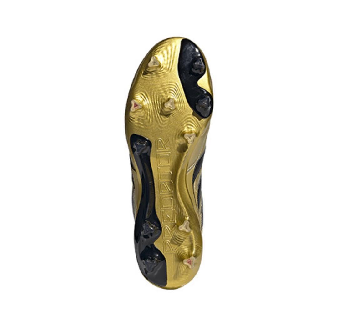 【のぶ】PREDATOR PRECISION ELITE FG ZZ